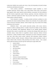 Verslo pristatymas 6 puslapis