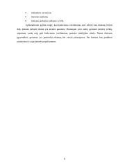 Verslo pristatymas 7 puslapis