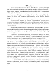 Verslo pristatymas 8 puslapis