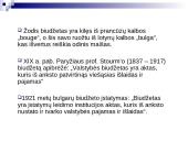 Lietuvos biudžetinė sandara 2 puslapis