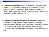 Lietuvos biudžetinė sandara 11 puslapis