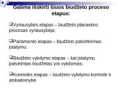 Lietuvos biudžetinė sandara 16 puslapis