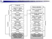 Lietuvos biudžetinė sandara 17 puslapis