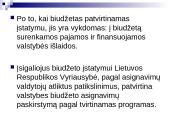 Lietuvos biudžetinė sandara 18 puslapis