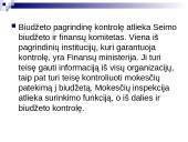 Lietuvos biudžetinė sandara 19 puslapis