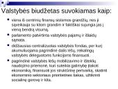 Lietuvos biudžetinė sandara 3 puslapis