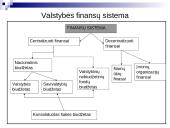 Lietuvos biudžetinė sandara 6 puslapis