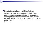 Lietuvos biudžetinė sandara 7 puslapis