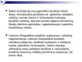 Lietuvos biudžetinė sandara 8 puslapis