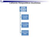 Lietuvos biudžetinė sandara 9 puslapis