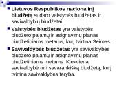 Lietuvos biudžetinė sandara 10 puslapis