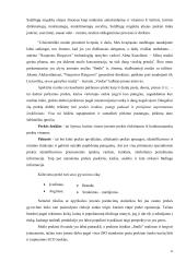 "Ringuvos" ir "Smile" kietojo muilo marketingo kompleksas. 5 puslapis