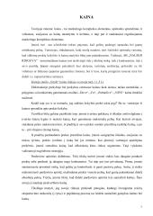 "Ringuvos" ir "Smile" kietojo muilo marketingo kompleksas. 6 puslapis