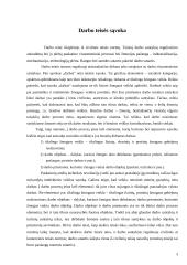 Darbo teisė. Referatas 3 puslapis