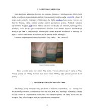 Krovinio vežimo automobilių transportu organizavimas. Referatas 4 puslapis