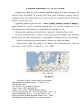 Krovinio vežimo automobilių transportu organizavimas. Referatas 7 puslapis