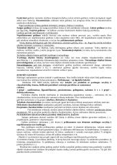 Technikos objektų kokybė ir kokybė gamyboje, transporto priemonių patikimumas 2 puslapis