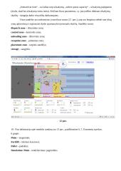 Darbas su ANY Logic programa 6 puslapis