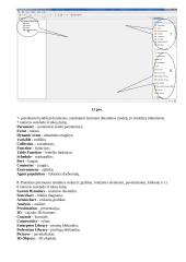 Darbas su ANY Logic programa 7 puslapis
