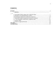 Saugaus automobilio kėbulo konstrukcija 2 puslapis