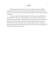 Saugaus automobilio kėbulo konstrukcija 3 puslapis