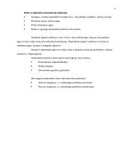 Saugaus automobilio kėbulo konstrukcija 6 puslapis