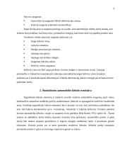 Saugaus automobilio kėbulo konstrukcija 9 puslapis