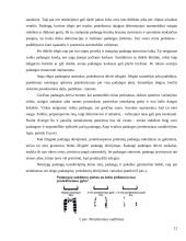 Padangos. Referatas 11 puslapis