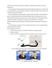 Padangos. Referatas 16 puslapis