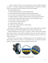 Padangos. Referatas 18 puslapis