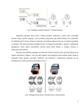 Padangos. Referatas 4 puslapis