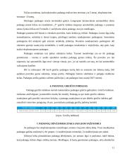 Padangos. Referatas 10 puslapis