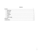 Ekologinio kuro rūšys ir jų panaudojimas transporte 2 puslapis