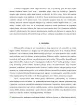 Ekologinio kuro rūšys ir jų panaudojimas transporte 11 puslapis