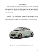 Ekologinio kuro rūšys ir jų panaudojimas transporte 13 puslapis