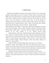 Ekologinio kuro rūšys ir jų panaudojimas transporte 4 puslapis