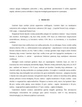 Ekologinio kuro rūšys ir jų panaudojimas transporte 6 puslapis