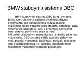 Automobilio stabilumo kontrolės sistemos 17 puslapis