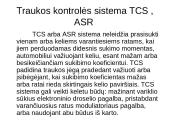 Automobilio stabilumo kontrolės sistemos 6 puslapis