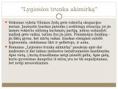 Izaokas Meras “Lygiosios trunka akimirką”  4 puslapis