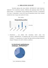 Viešbučio ,,Metropolis“ veiklos analizė 11 puslapis