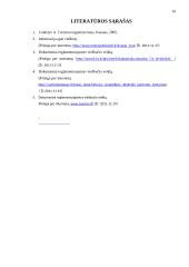 Viešbučio ,,Metropolis“ veiklos analizė 16 puslapis