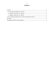 Ilgalaikio materialaus turto netekimų auditas 2 puslapis