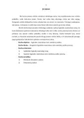 Ilgalaikio materialaus turto netekimų auditas 3 puslapis