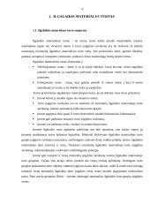 Ilgalaikio materialaus turto netekimų auditas 4 puslapis