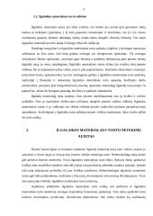 Ilgalaikio materialaus turto netekimų auditas 5 puslapis