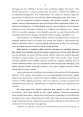 Ilgalaikio materialaus turto netekimų auditas 6 puslapis