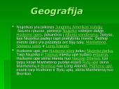 Niujorkas. Pristatymas 5 puslapis