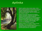 Niujorkas. Pristatymas 6 puslapis