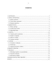 UAB „Plastas“ verslo planas 2 puslapis